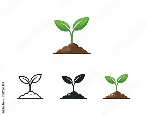Green sprout growing from soil, representing new life and growth