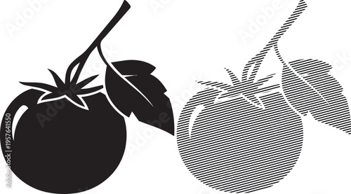 Comparison of a regular tomato and a patterned eggplant illustration