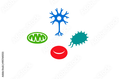 A collection of four stylized biological icons featuring a blue