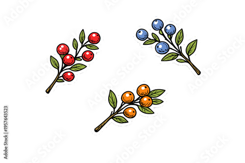 Three hand-drawn illustrations of berry branches in red, blue, and