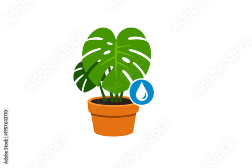 A vector illustration of a green monstera plant in a terracotta pot
