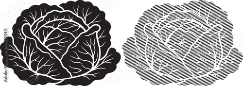 Detailed illustration of a rose depicted in two contrasting artistic styles