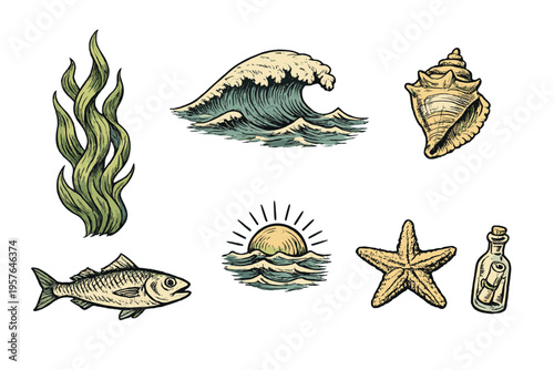 A set of vintage hand-drawn marine illustrations featuring a cresting