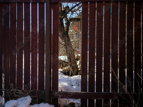 Konstfotografi loophole in wooden fence