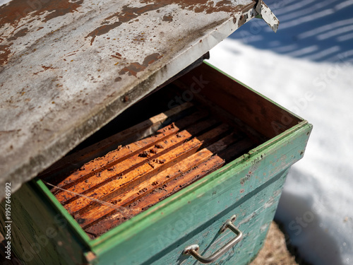 hive abandoned by bees