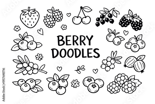 Berry doodle illustration in black and white hand drawn outline style with assorted fresh berries and botanical elements