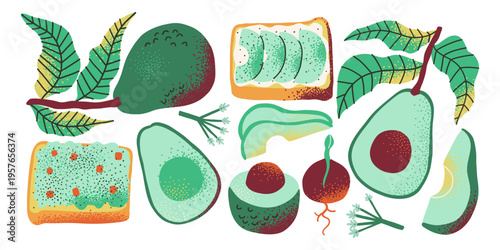 Set with whole avocado, halves of avocado, slices and avocado on branch. Healthy vegan food. Hand drawn fruits in modern style.