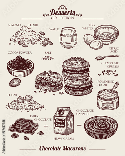 Chocolate macarons recipe. Dark Chocolate Ganache, Egg Whites, Almond Flour and Sugar, Cocoa. French Dessert. Line art Illustration, sketch style. 