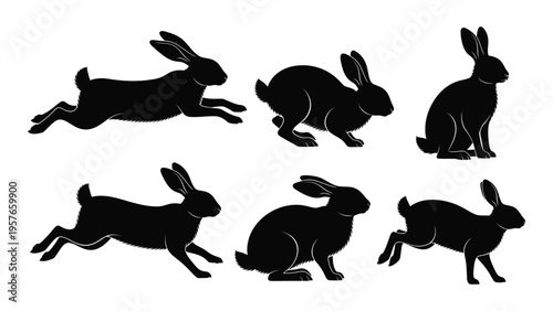 Silhouettes of hares in various poses depicting movement and stillness