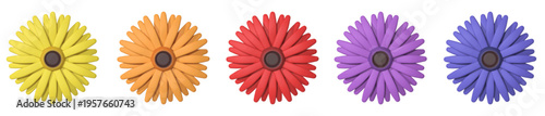 This set features five rainbow colorful 3d gerbera bloom flowers in yellow, orange, red, purple, blue. Modern soft shading and cartoon plastic look for spring and summer-themed designs. Isolated.