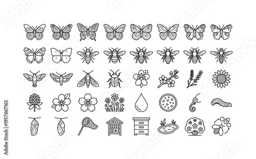 Insects_and_flowers_grid_25da405d7c.jpeg