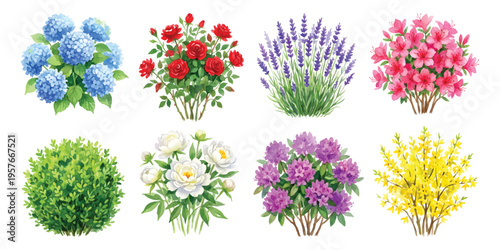 Watercolor set of flowering garden bushes and landscaping plants isolated on transparent background