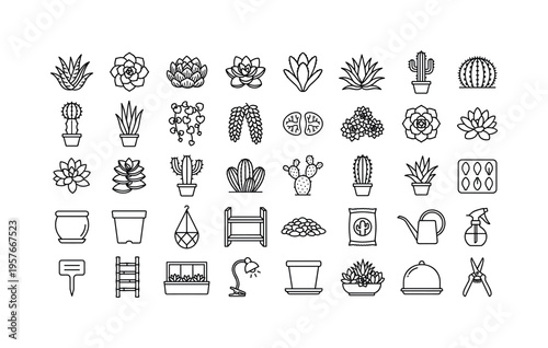 Succulent_varieties_set_grid_37303b164d.jpeg