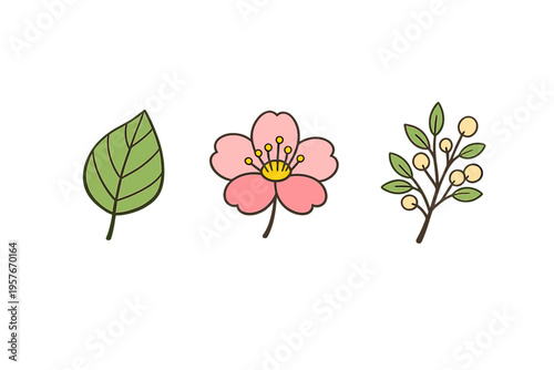 A minimalist vector illustration featuring three botanical icons