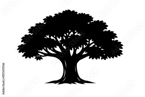 A black silhouette of a large, spreading tree with a thick trunk and