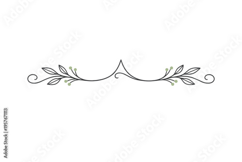 Elegant floral divider with hand-drawn leaves and small green berries