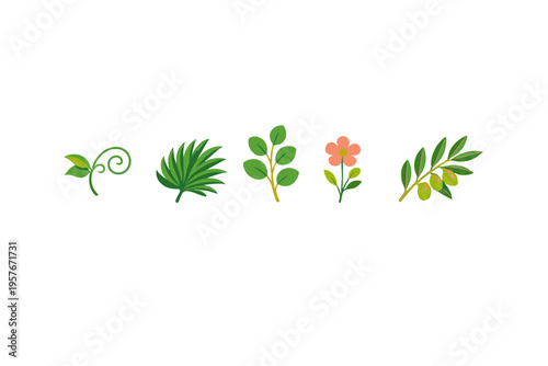 A set of five botanical vector illustrations including a vine, palm