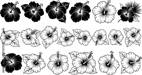 Hibiscus Flower Silhouette and Line Art Set, Tropical Floral Vector Illustration, Black and White Blossom Icons