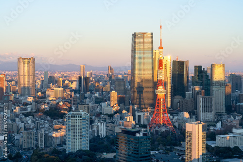 Tokyo skyline at sunrise, Tokyo, Japan