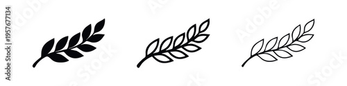Botanical leaf branch icon set. Nature, agriculture, or peace symbol vector illustration.