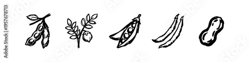 Set of hand-drawn legume icons including peas, beans, chickpeas, and peanuts. Minimalist black ink sketches on a white background, perfect for organic food branding and menu design.