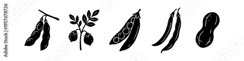 Set of black silhouette icons of various legumes including soybeans, chickpeas, green peas, beans, and peanut on a white background. Perfect for healthy food and agriculture designs.
