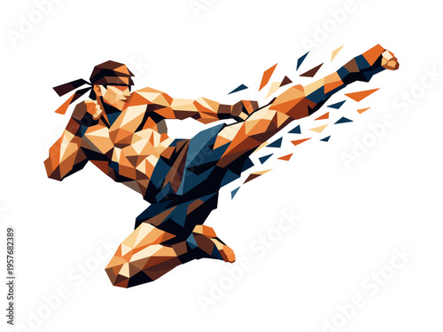 Low-poly vector illustration of a fighter mid-spin, angular limbs frozen in dynamic rotation with faceted muscles flexed,