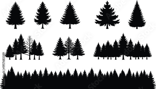 Black silhouettes of various pine trees on white background tree silhouettes black trees coniferous trees