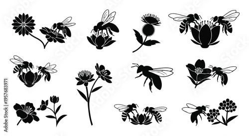 Black silhouettes of bees and flowers on a white background, featuring various floral arrangements and insect interactions.