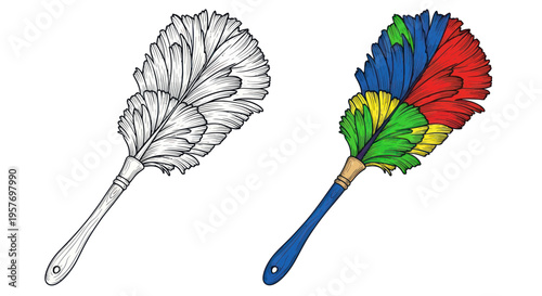 Hand-drawn illustration of colorful feather duster and sketch on white background