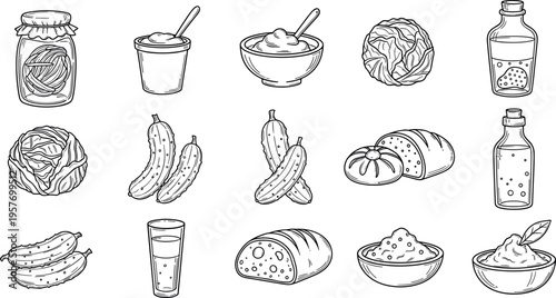 A collection of various fermented food and drink items for healthy eating