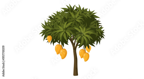 Ripe Mango Tree with Yellow Fruits Hanging