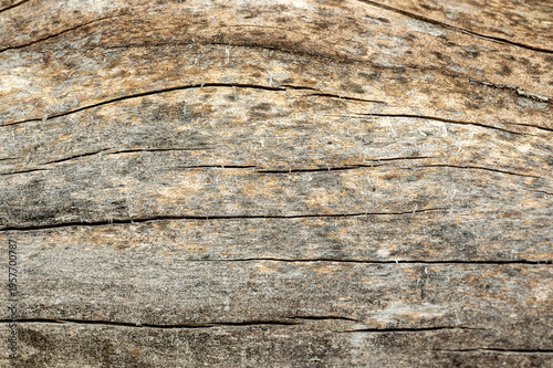 Top view of brown wooden board with cracks and rough texture, natural rustic background, abstract wood surface for design, organic material and aged pattern concept