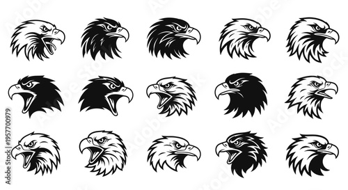 Set of Eagle Head Icons, Black and White Vector Illustrations, Ferocious Bird Emblems