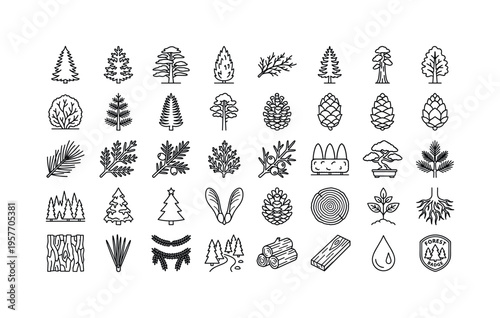Evergreen_woodland_flora_set_grid_00e0f481c6.jpeg
