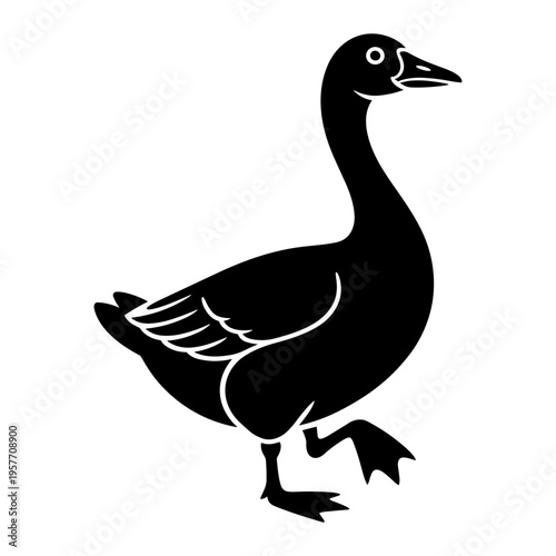 Goose Walking Illustration