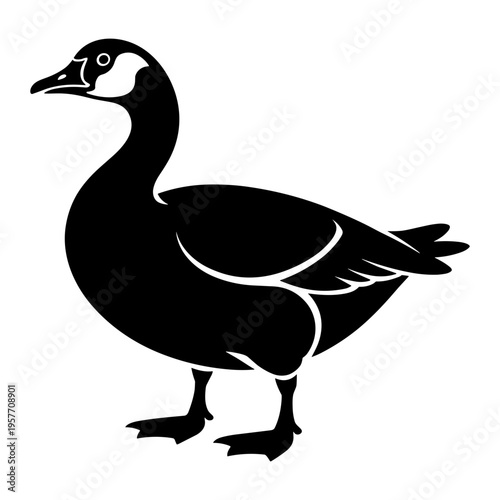 Goose Standing Illustration