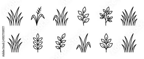 Black line art plant icons set featuring various simple grass tufts and leafy sprigs, a minimalist collection of botanical elements with clean, linear illustrations