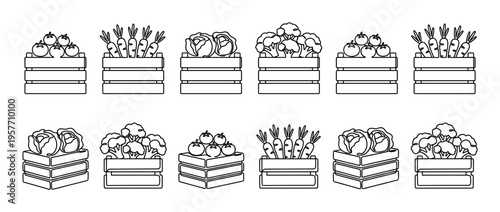 Collection of linear vegetable icons in wooden crates featuring farm-fresh produce like carrots, tomatoes, broccoli, and cabbage in a minimalist outline illustration set