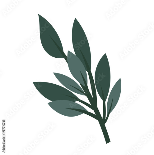 Minimal green leafy branch with elongated leaves, simple flat vector botanical element, modern natural plant illustration isolated on white background