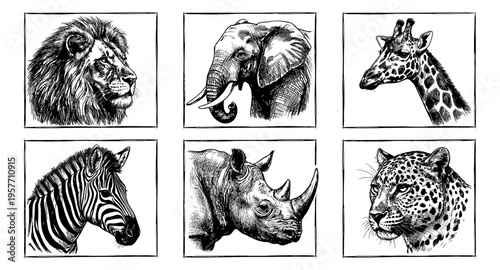 Collection of six majestic African wildlife animal portraits in a sketch art style