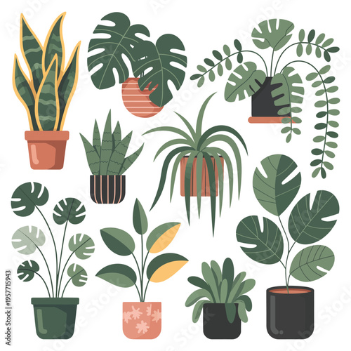 Set of potted plants and flowers with leaves and foliage for home and garden decoration