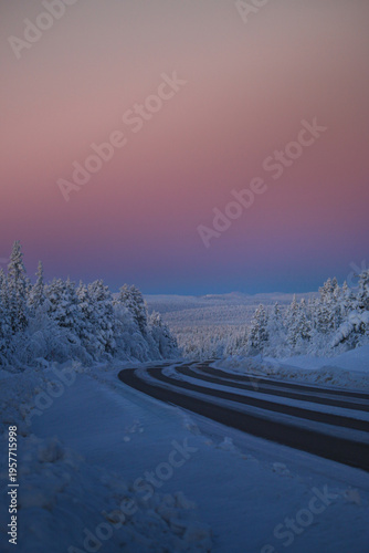 Aerial view of a road cutting through snow-laden trees under a pastel sky, the cold air palpable in the stillness, Kiruna, Norrbotten County, Sweden.