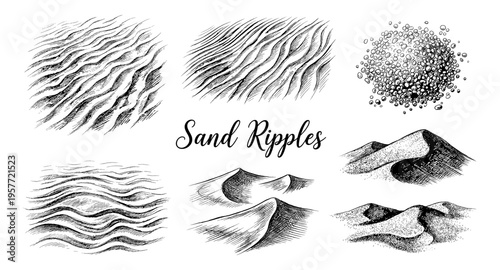 Collection of hand-drawn sand ripple and dune illustrations in black and white