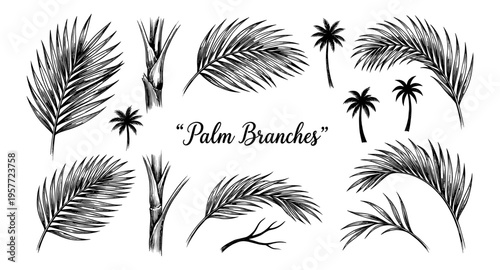 Collection of hand-drawn palm fronds and silhouettes of tropical trees