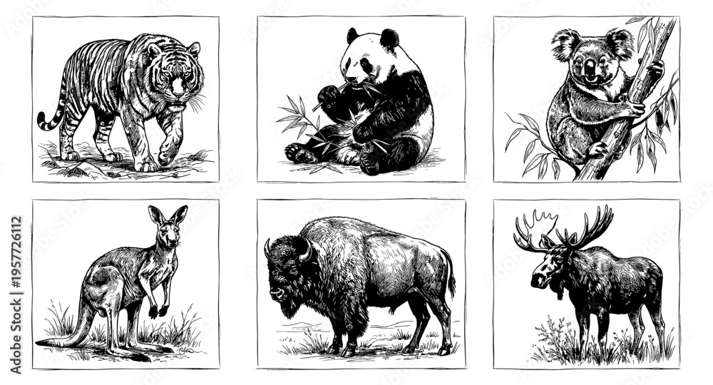 Fototapeta premium Collection of six distinct wild animal illustrations in a vintage sketch style