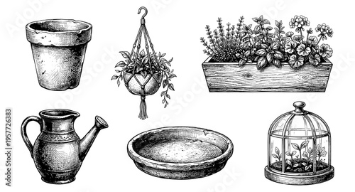 Vintage botanical illustration of gardening tools and plants in a sketch style