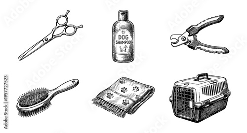 Collection of essential dog grooming and travel supplies illustrated in sketch style