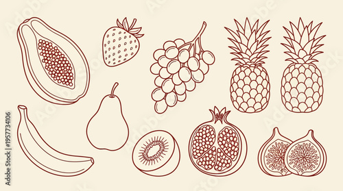 Line-art illustration of assorted fruits including avocado, strawberry, grapes, pineapple, banana, pear, kiwi, pomegranate and fig.