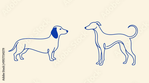 Minimalist line drawing of two dogs from different breeds: a dachshund and a greyhound facing each other.